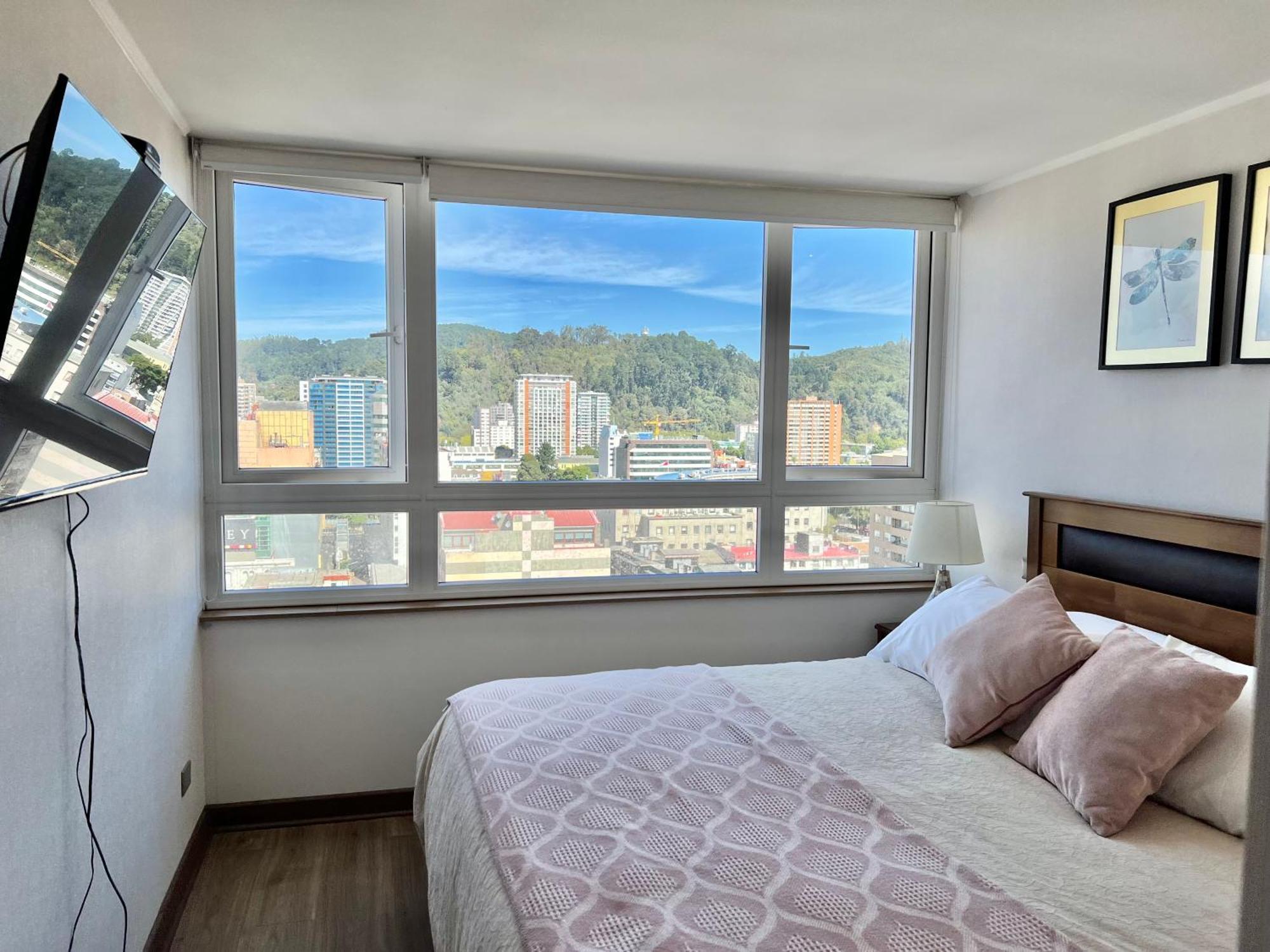 Apartment Centro